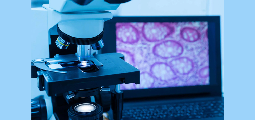 Clinical Lab & Pathology Microscopy Imaging Solution